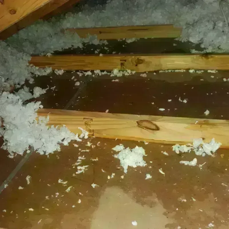 Attic Water Damage in Wyndham, VA