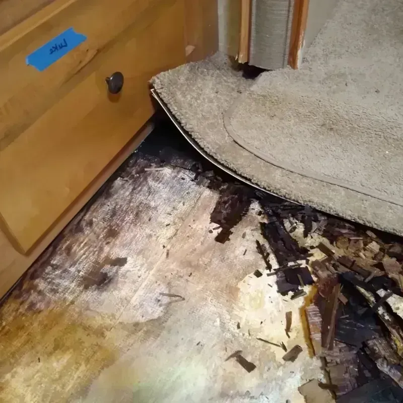 Wood Floor Water Damage in Wyndham, VA